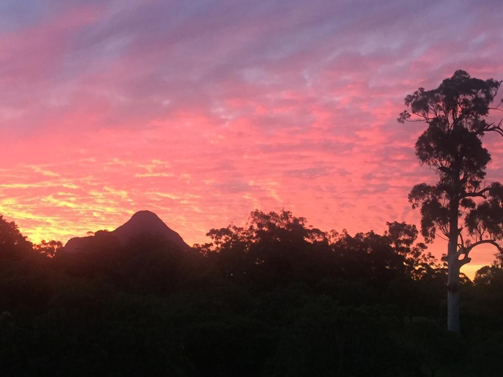 Glass On Glasshouse Glass House Mountains Exterior foto